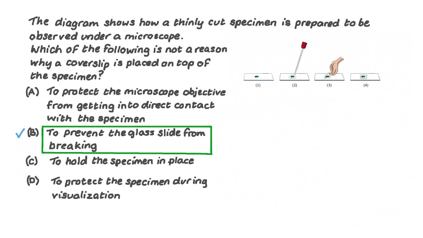 Question Video Recalling the Reasons for Putting a Coverslip on top of