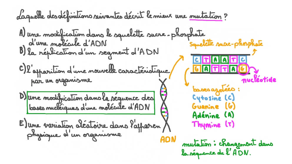 Définition du terme mutation