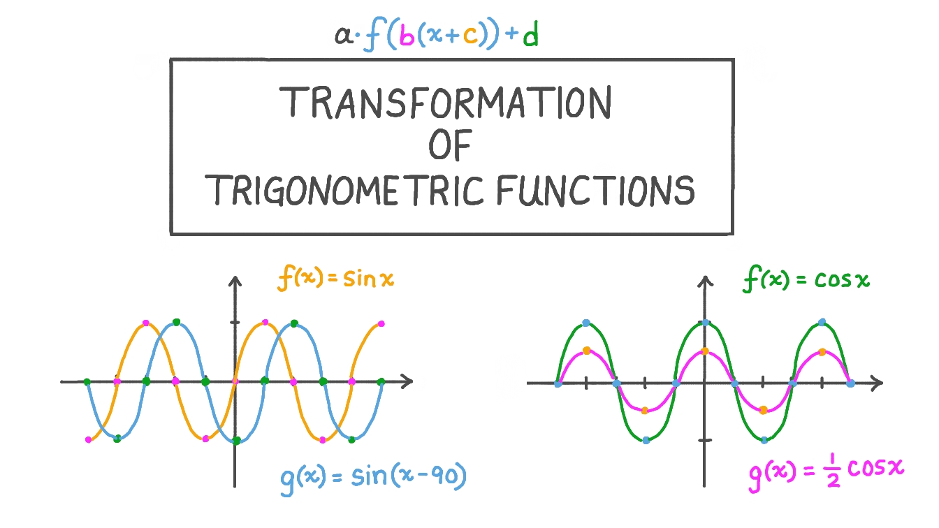 Cosine Function Transformations