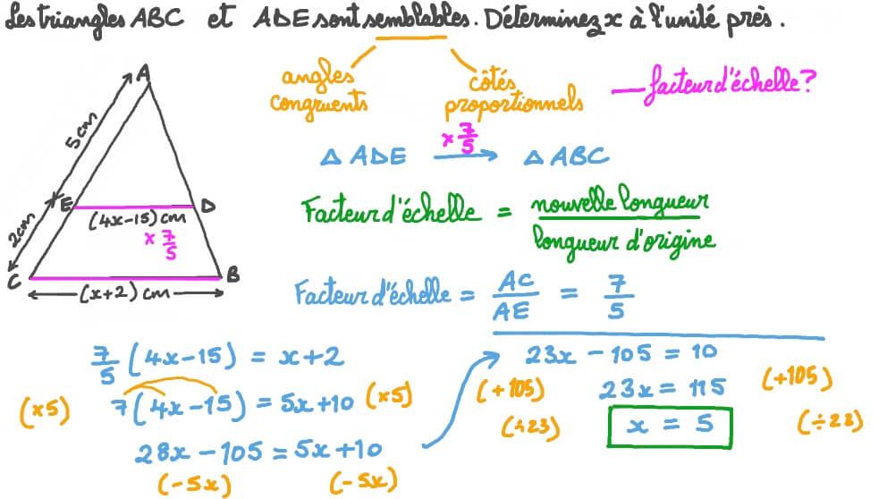 Déterminer les longueurs inconnues d’un triangle en utilisant la similitude entre les triangles