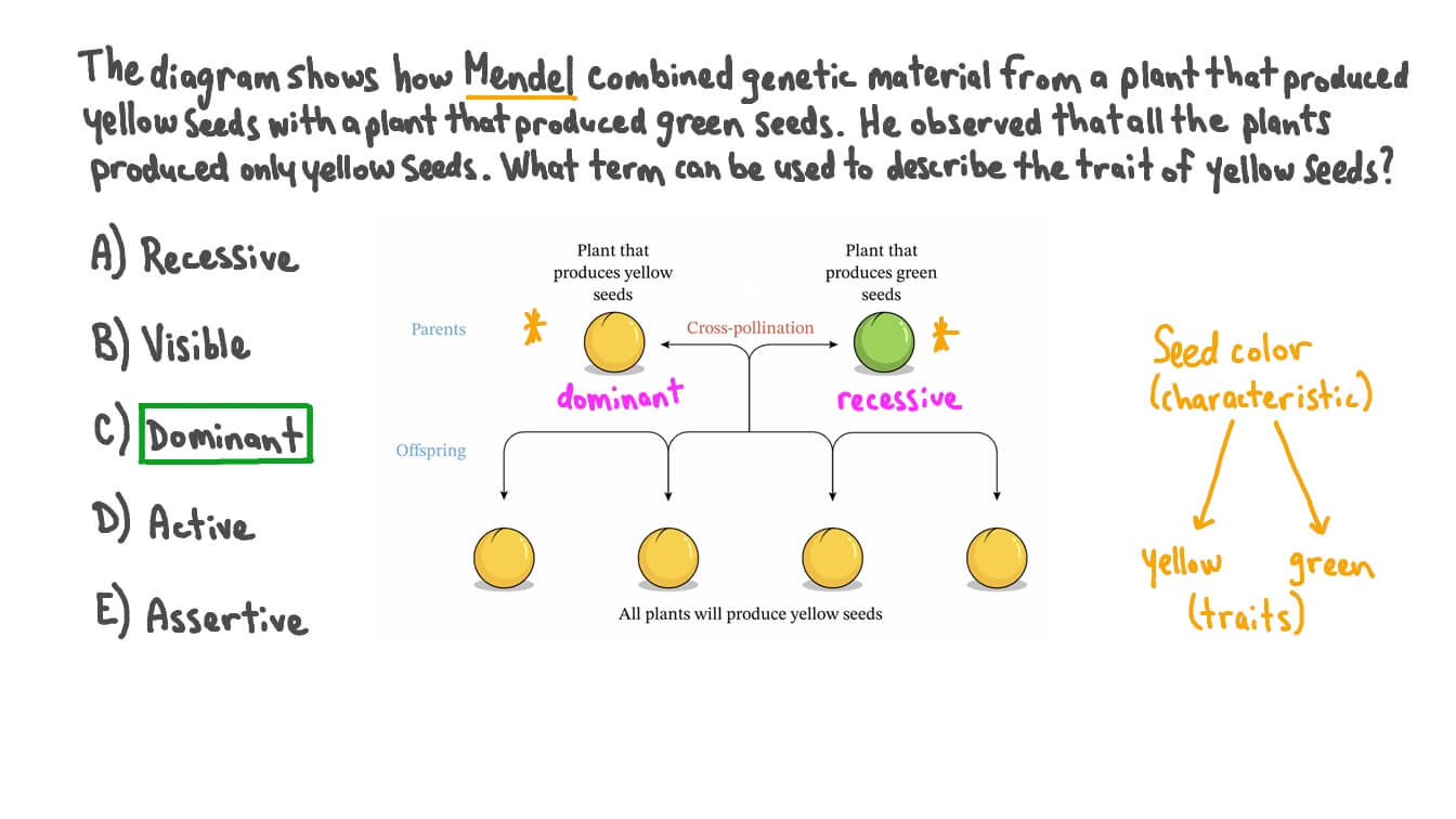 Describing Trait Version Types in Seed Color