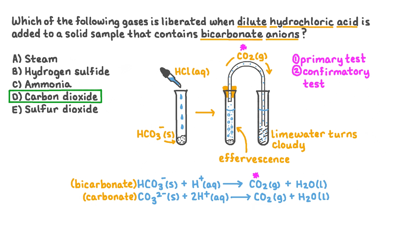 Question Video Identifying the Gas Produced When a Solid Bicarbonate