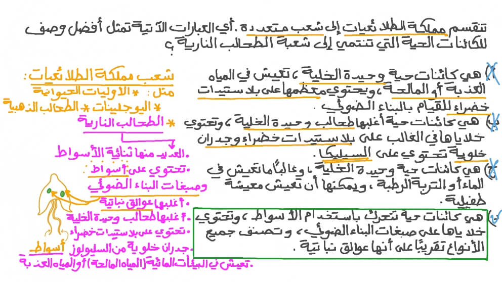 تذكر خواص شعبة الطحالب النارية