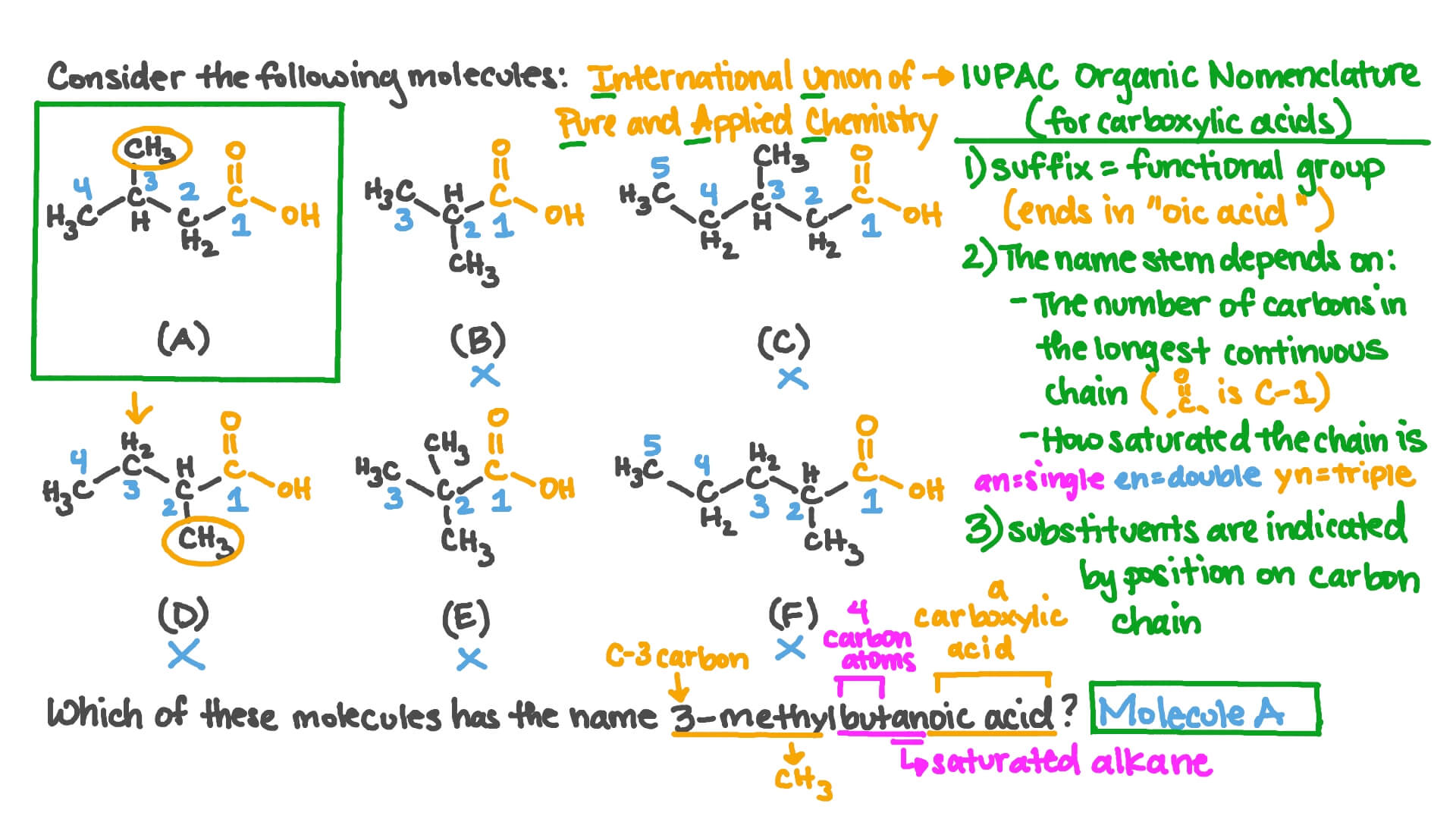 Identifying the Structure of the 3-Methylbutanoic Acid Molecule