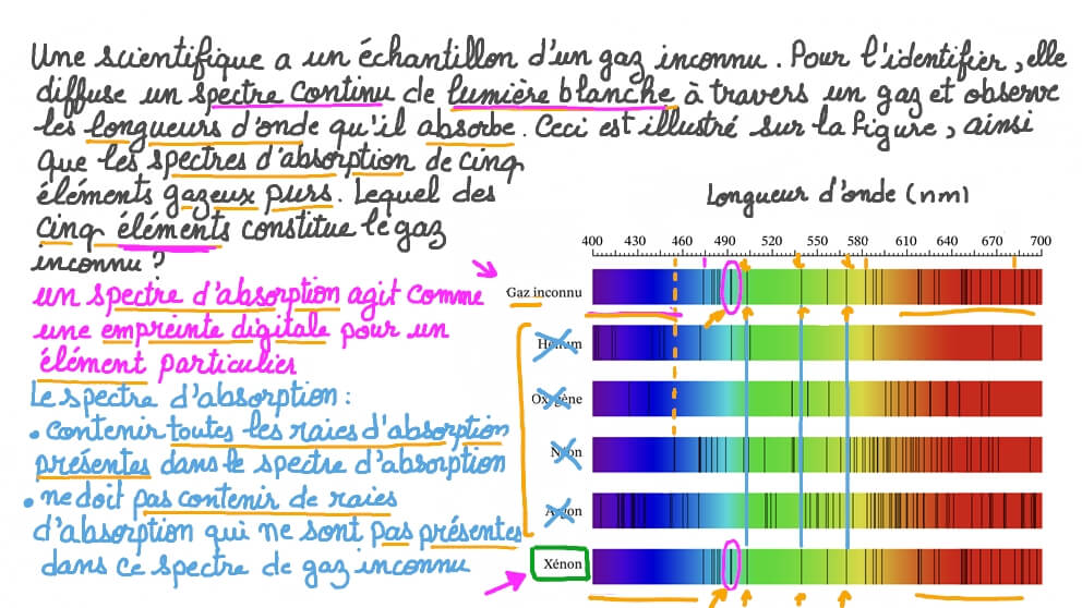 Identifier le spectre d’absorption correspondant à un gaz inconnu