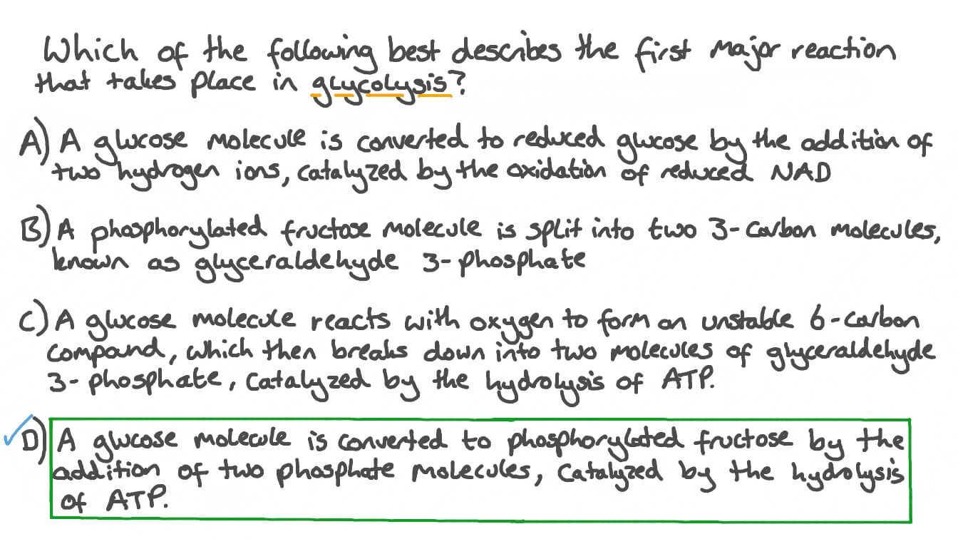 Describing the First Major Reaction in Glycolysis