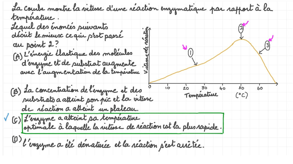 Identifier le point où une enzyme a été dénaturée
