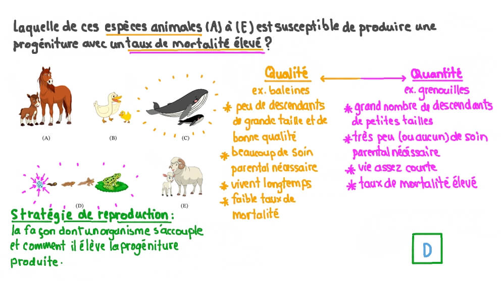 Identifier l’espèce dont la progéniture a le taux de mortalité le plus élevé