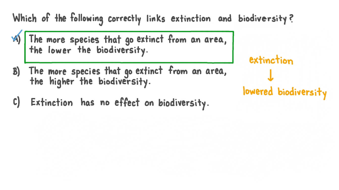 Understanding the Impact Extinction Has on Biodiversity