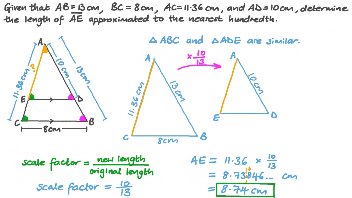 Proving Triangles Similar Worksheet