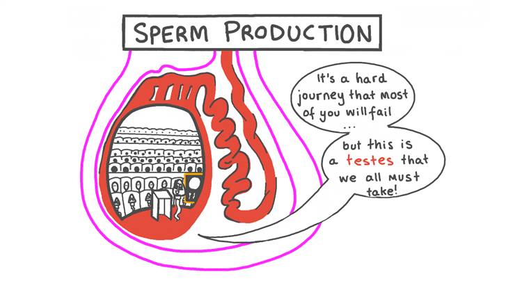 Ketrin Makkormak bilan jinsiy aloqa video