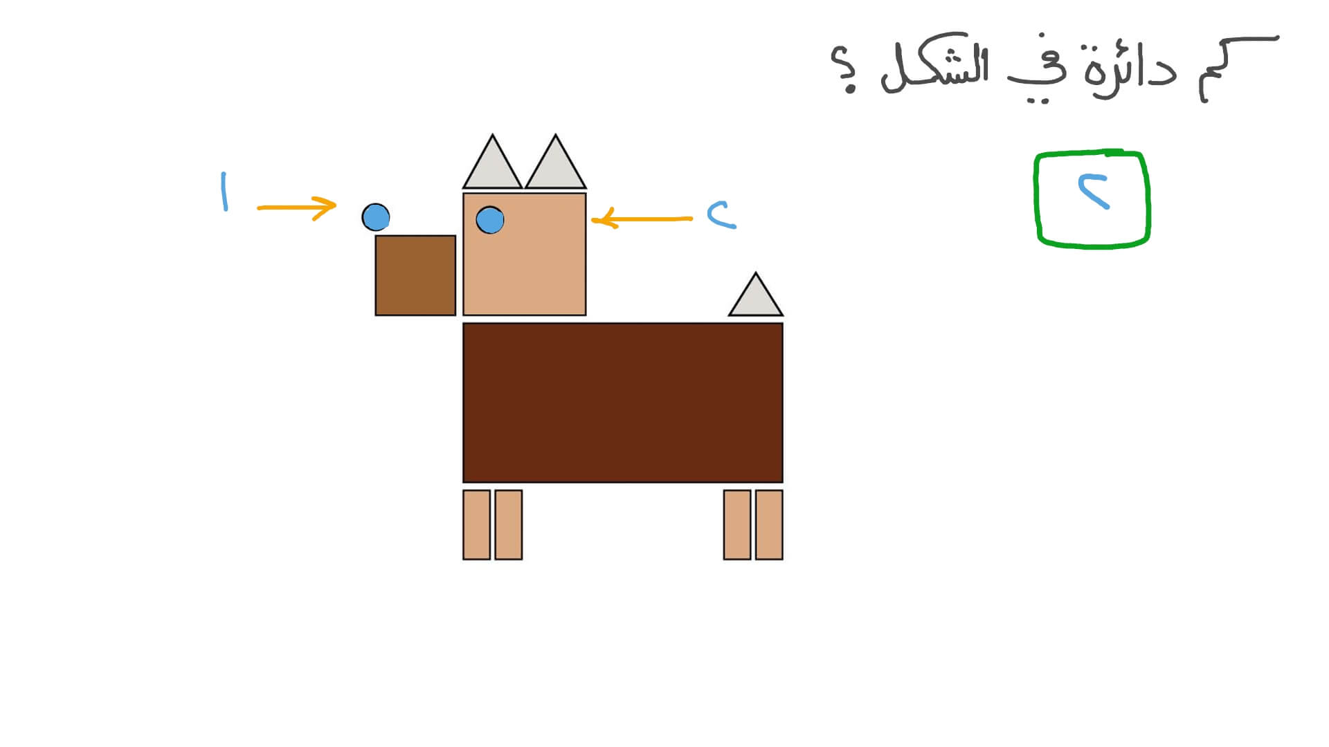 تحديد عدد الدوائر في شكل معطى