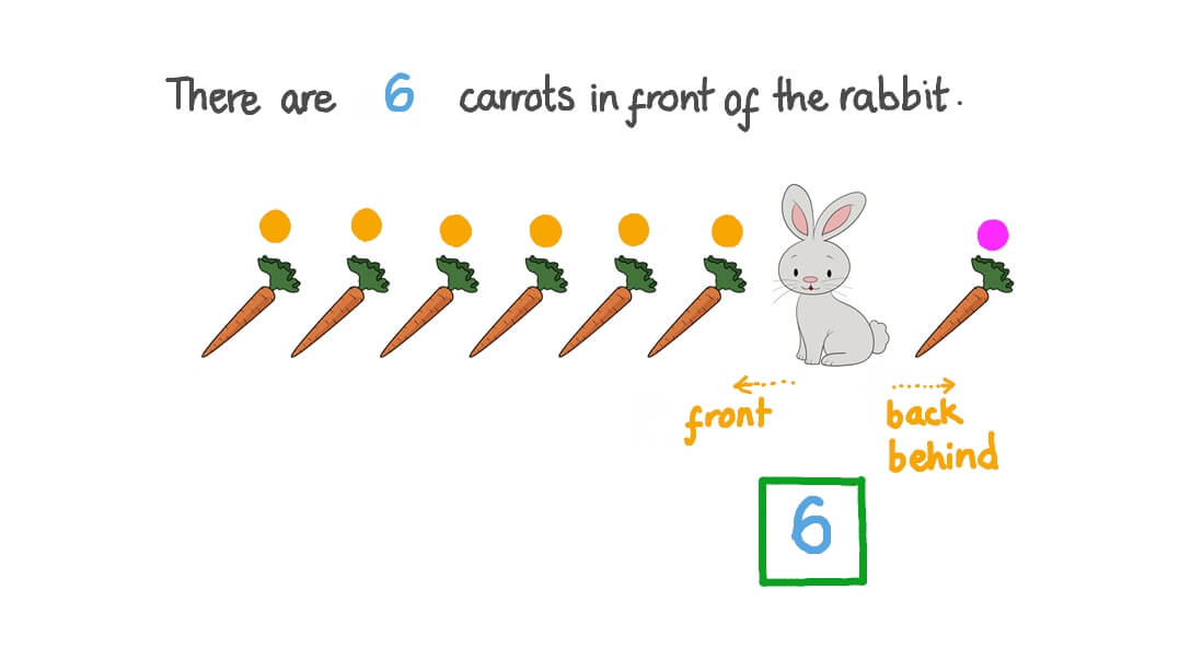 Finding the Number of Objects