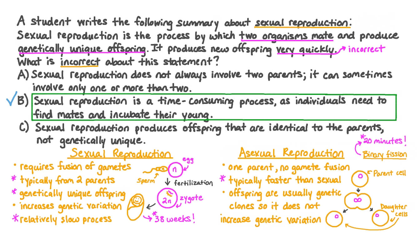Correcting a Description of Sexual Reproduction