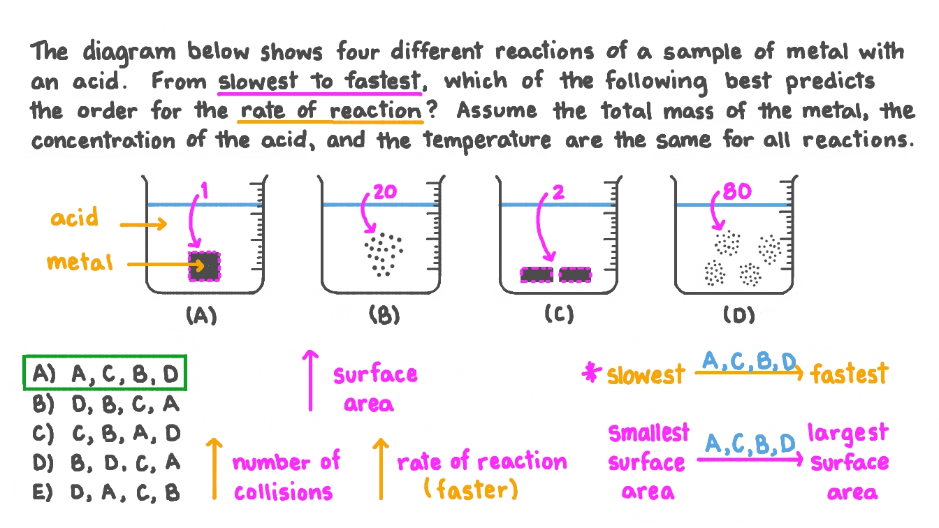 Determining the Correct Order of the Rate of Reaction for Different Reactions