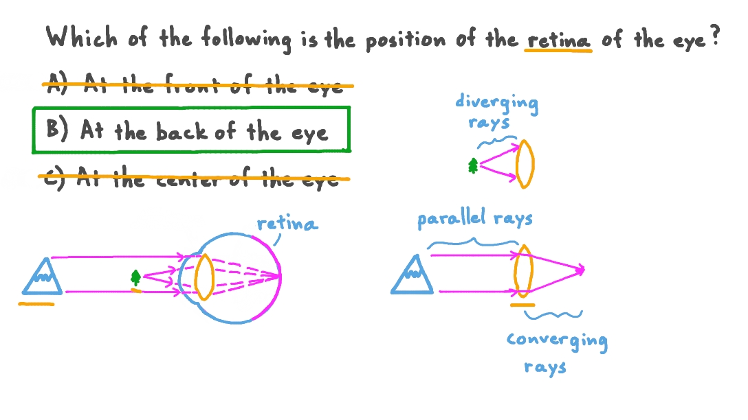 Question Video Identifying the Position of the Retina Nagwa