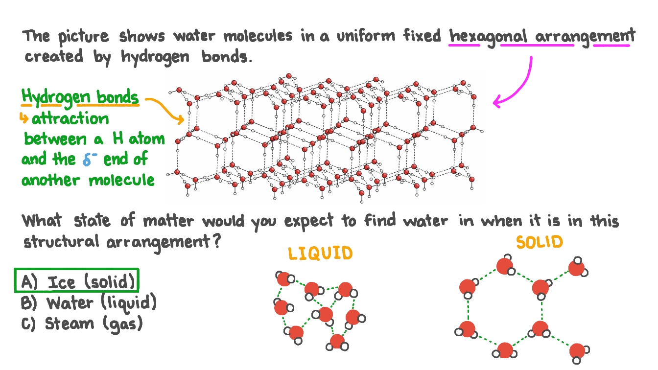 Water Molecules Liquid Solid Gas Kids Science Solid Liquid Gas