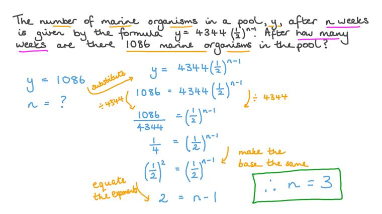 Lesson: Applications of Exponential Functions | Nagwa