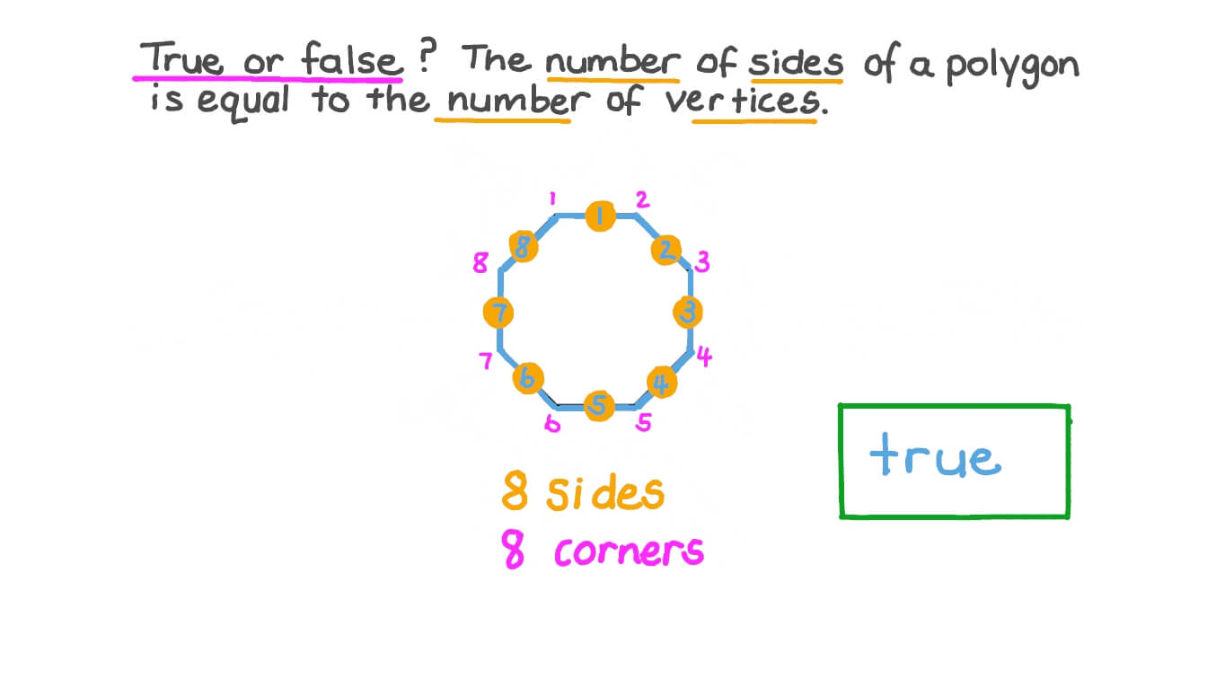 The Properties of Polygons