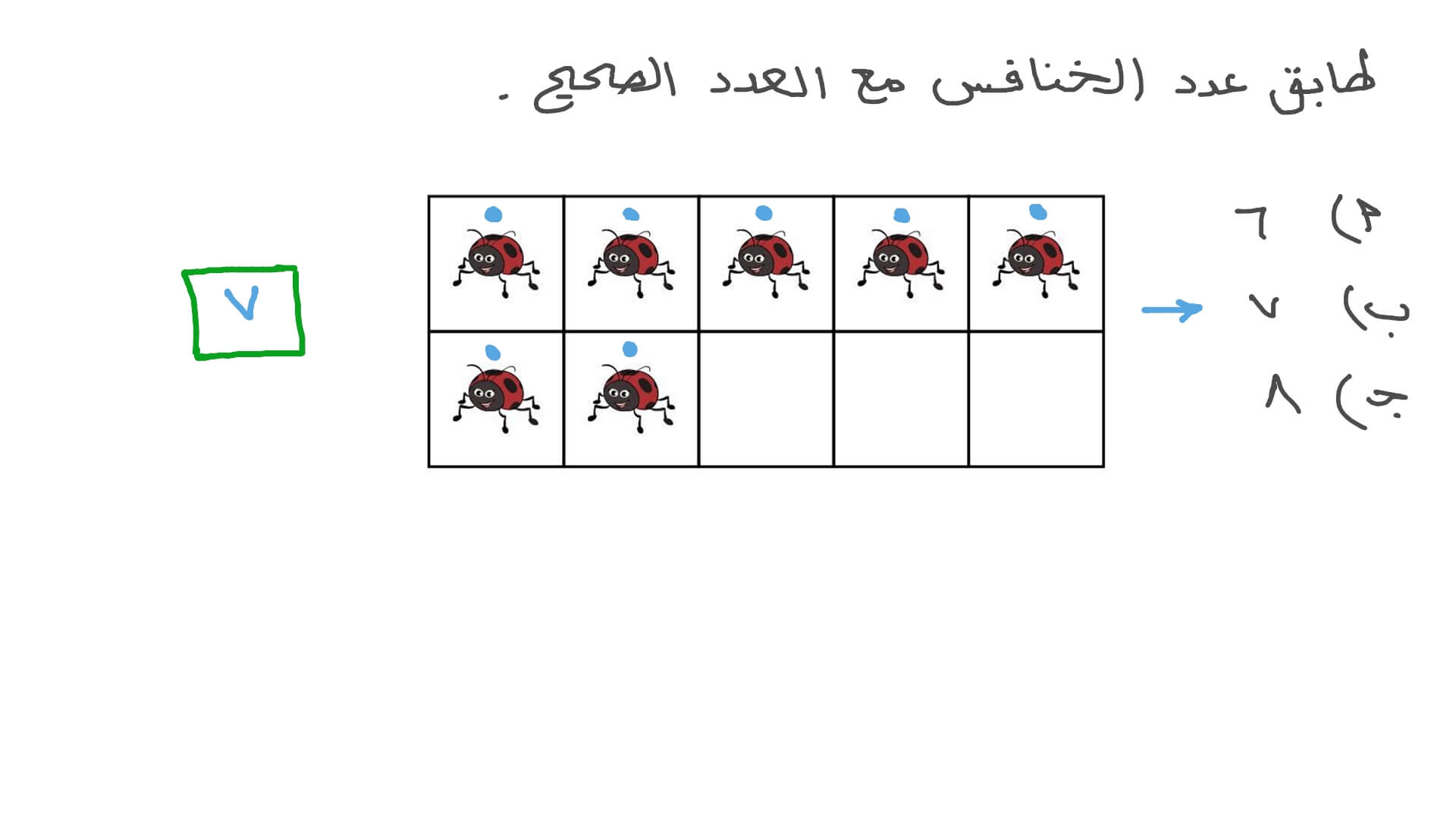 مطابقة العدد والكمية