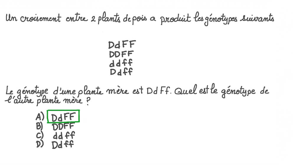 Déterminer le génotype d’un parent à partir des génotypes de la progéniture