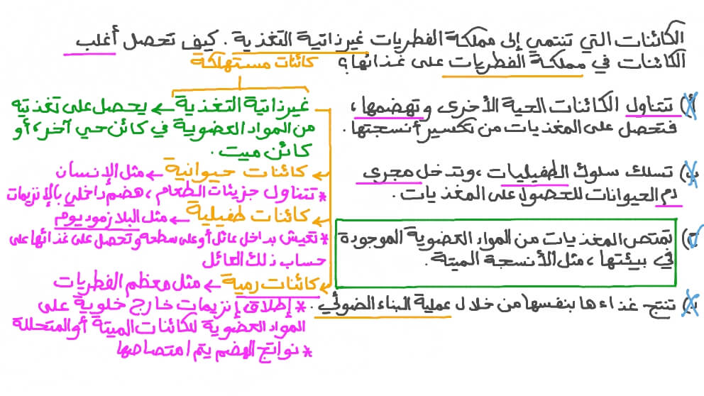 تذكر طريقة التغذية في الفطريات