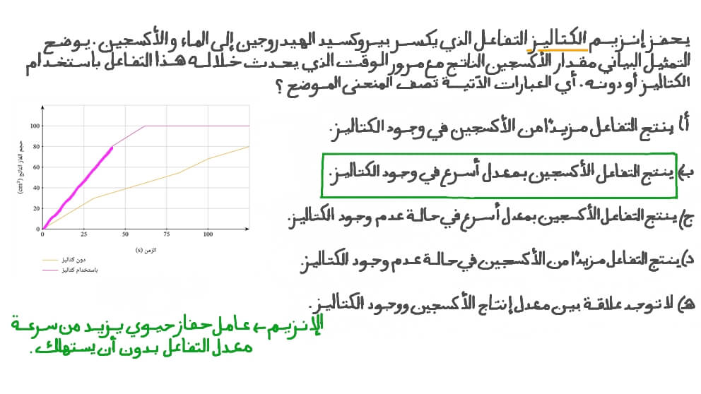 وصف النمط الموضح على تمثيل بياني لتفاعل محكوم بالإنزيمات