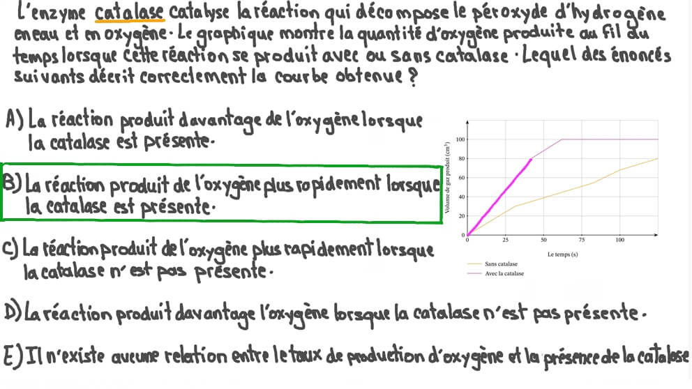 Décrire la courbe représentée par le graphique d’une réaction enzymatique