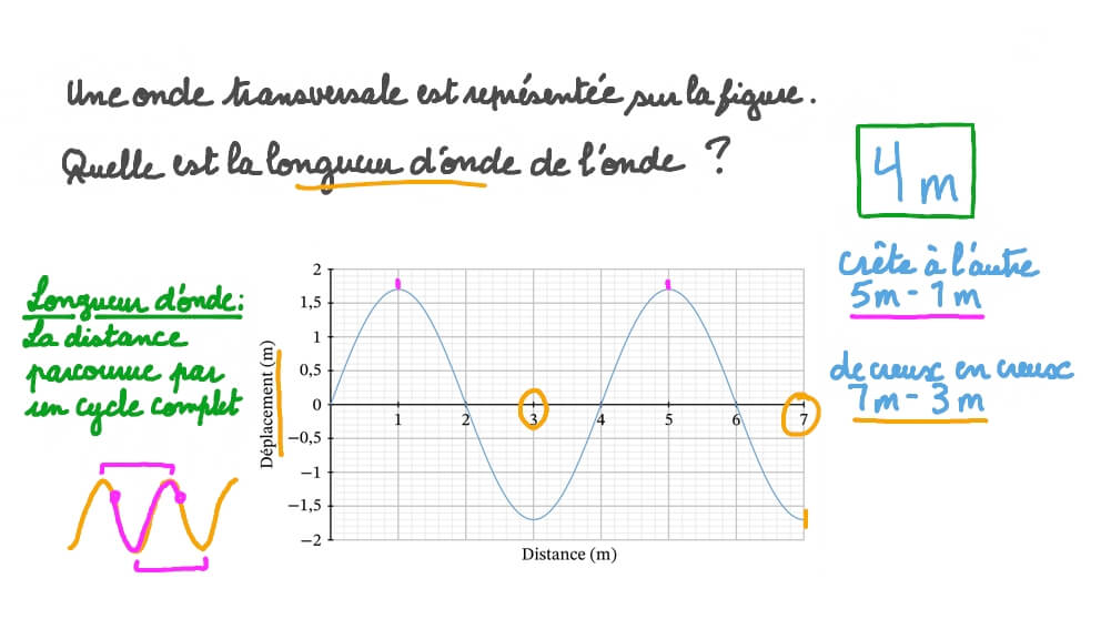 Comprendre les ondes transversales et longitudinales