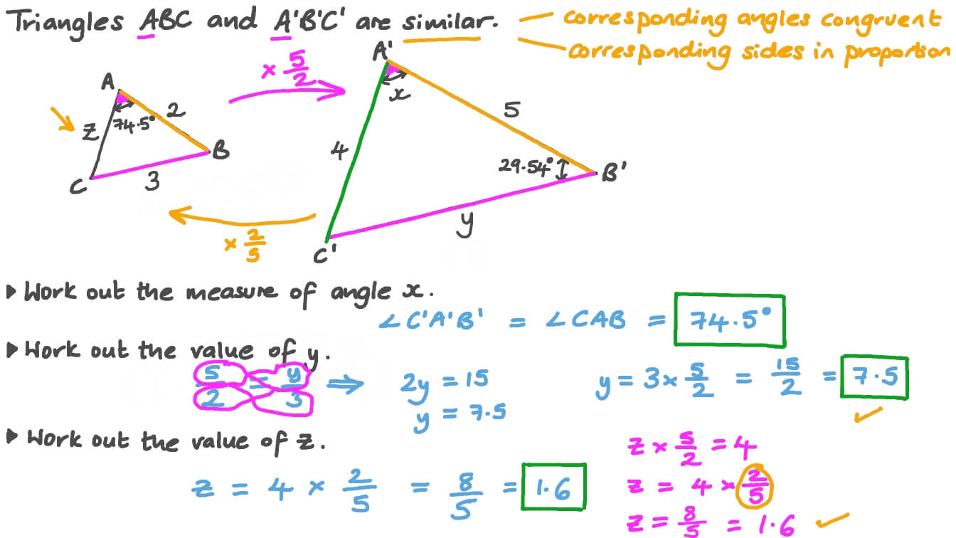 question-video-using-properties-of-similar-triangles-to-calculate-lengths-and-measures-of