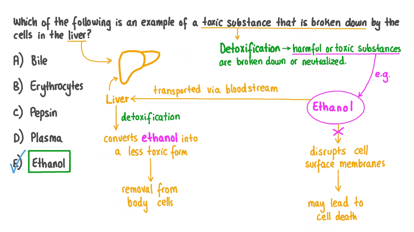 Question Video Recalling Toxic Substances that can be Broken Down by