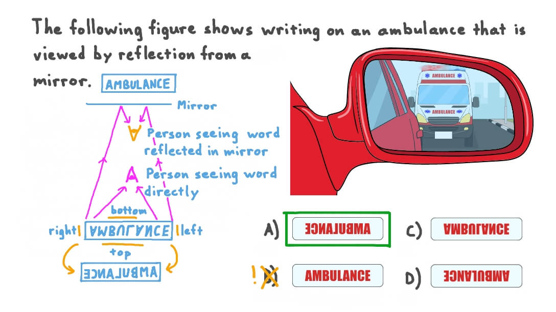 Comparing an Object with Its Image