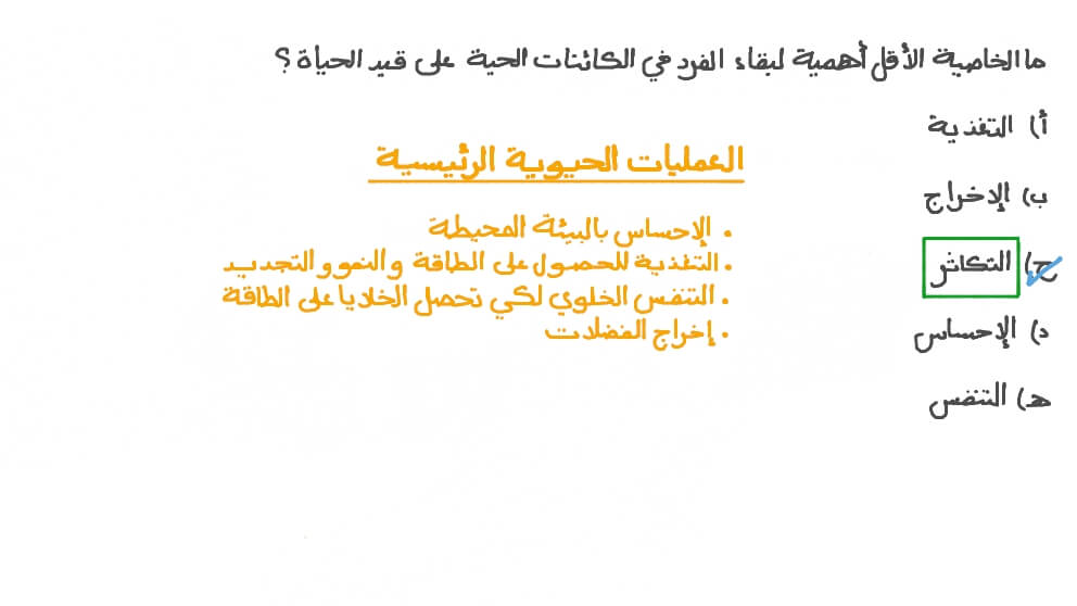 تحديد العملية الحيوية الرئيسية الأقل أهمية لبقاء الفرد على قيد الحياة