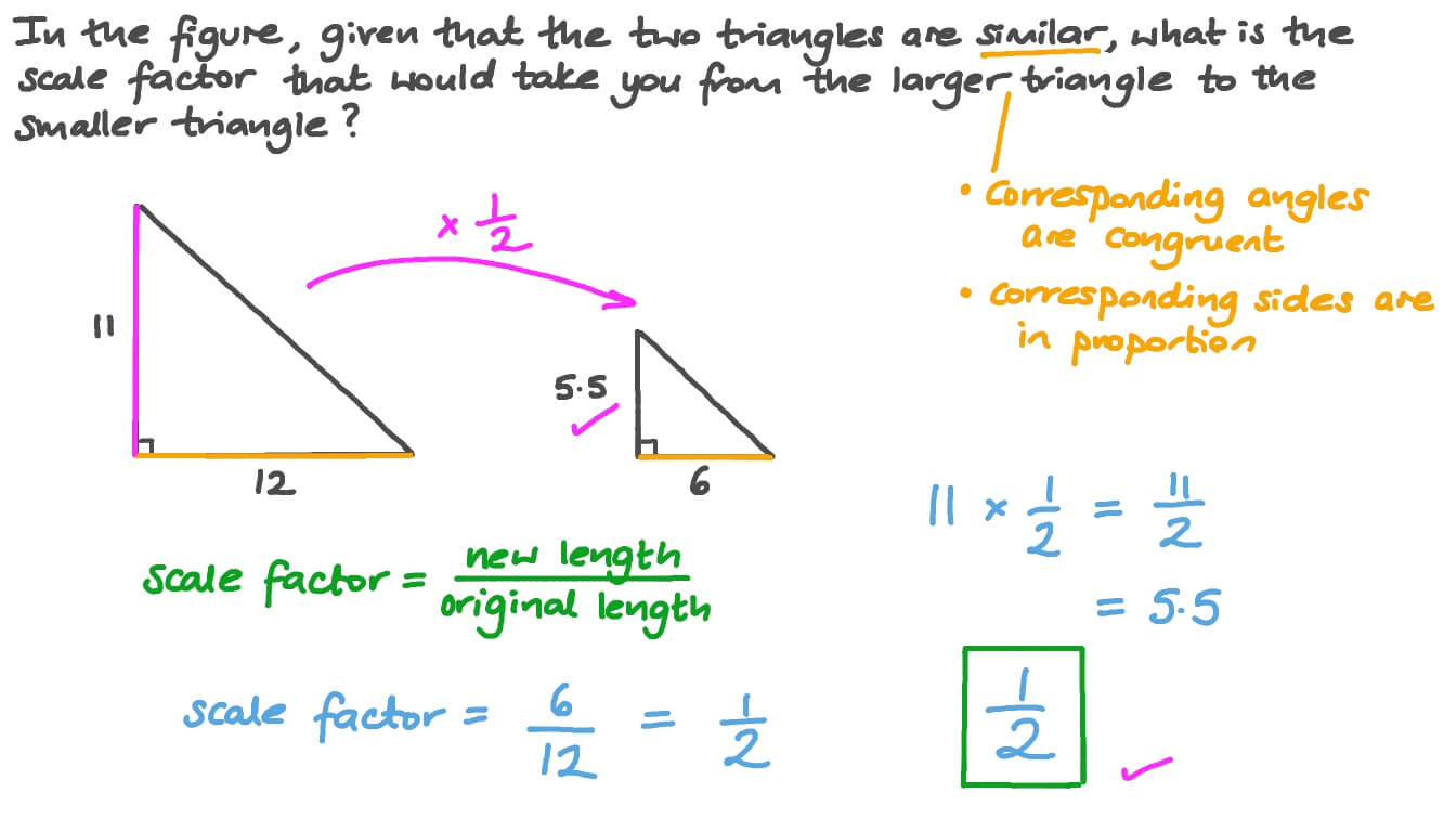 Finding the Scale Factor of Similar Triangles For Scale Factor Worksheet With Answers