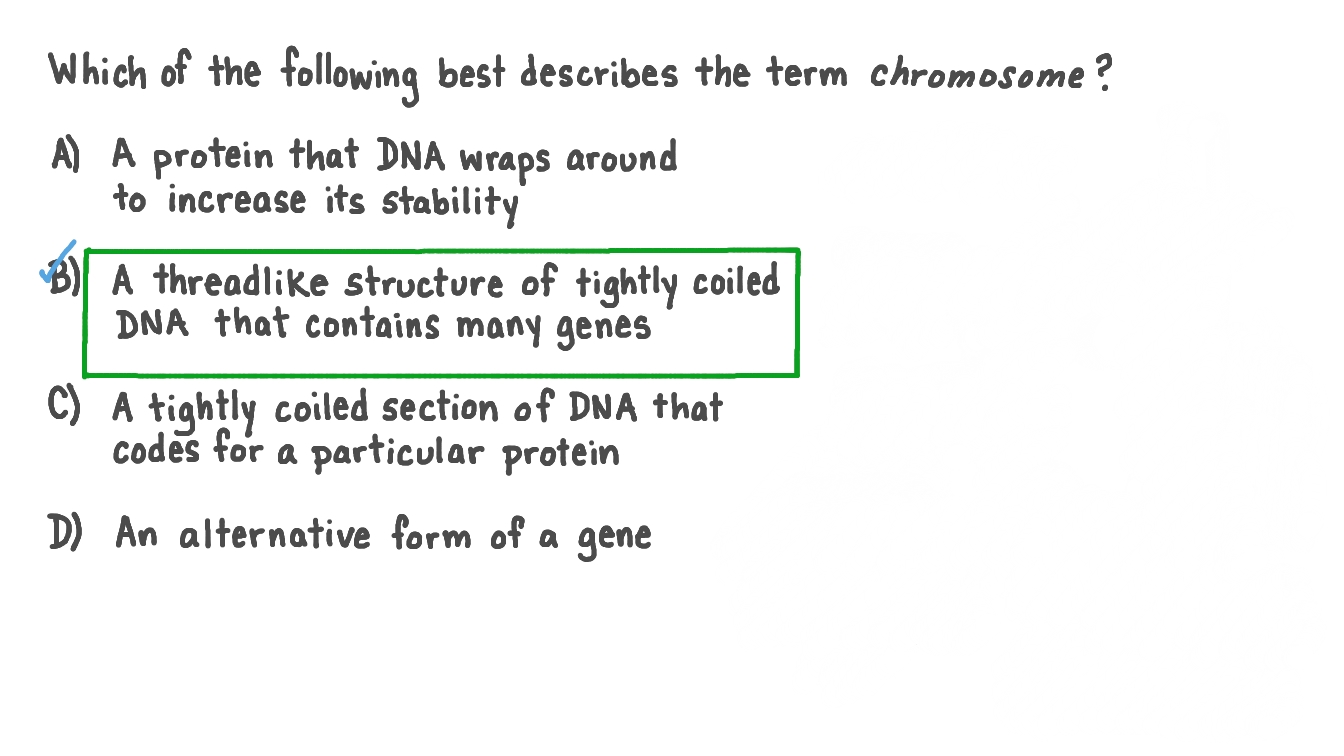 Describing the Term “Chromosome”