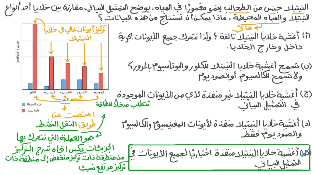 استخلاص استنتاجات من تمثيل بياني عن نفاذية أغشية خلايا النيتيلا