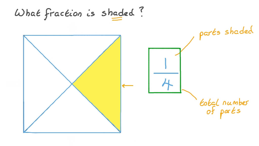 Identifying Fractions of a Whole Using Visual Fraction Models