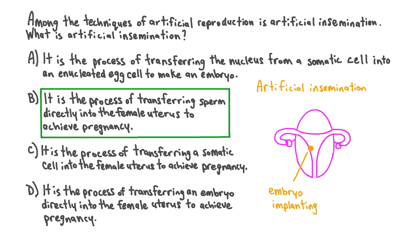 Describing Artificial Insemination