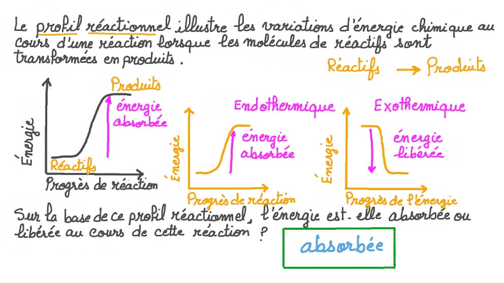 Déterminer si l’énergie est libérée ou absorbée par les réactifs en utilisant un profil réactionnel