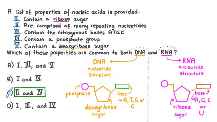 Ribose And Deoxyribose Sugar Structure