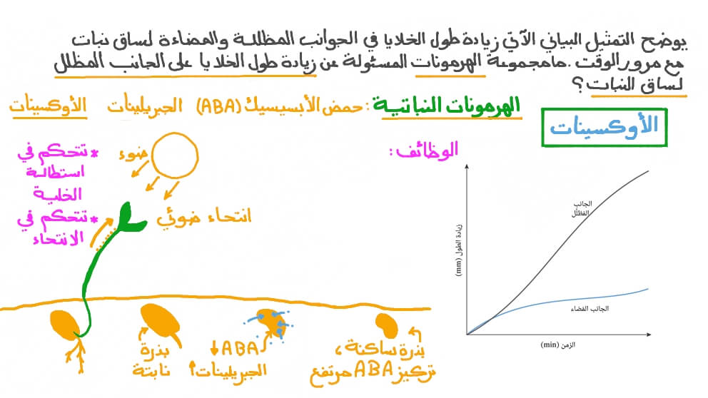 تذكر مجموعة الهرمونات المسئولة عن تحفيز استطالة الخلايا في ساق النبات