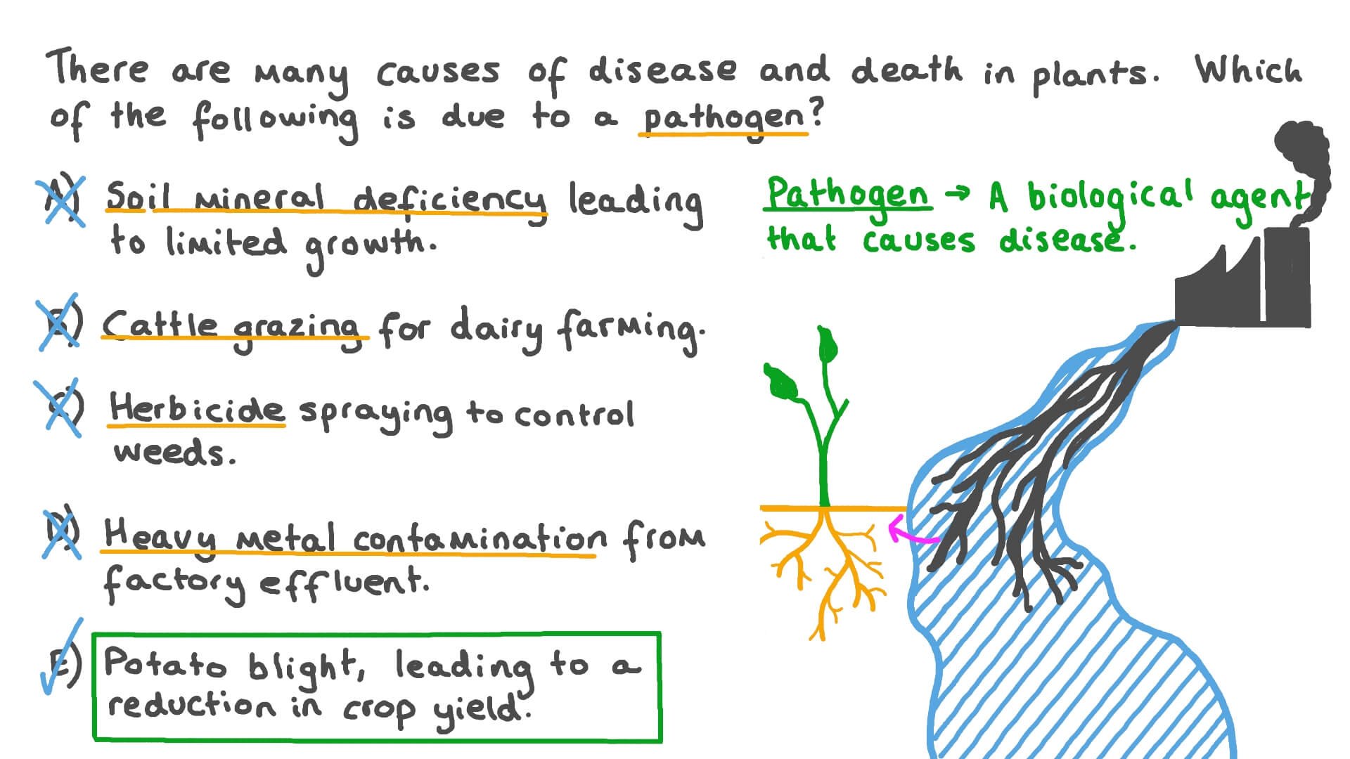 Identifying Examples of Plant Diseases Caused by Pathogens