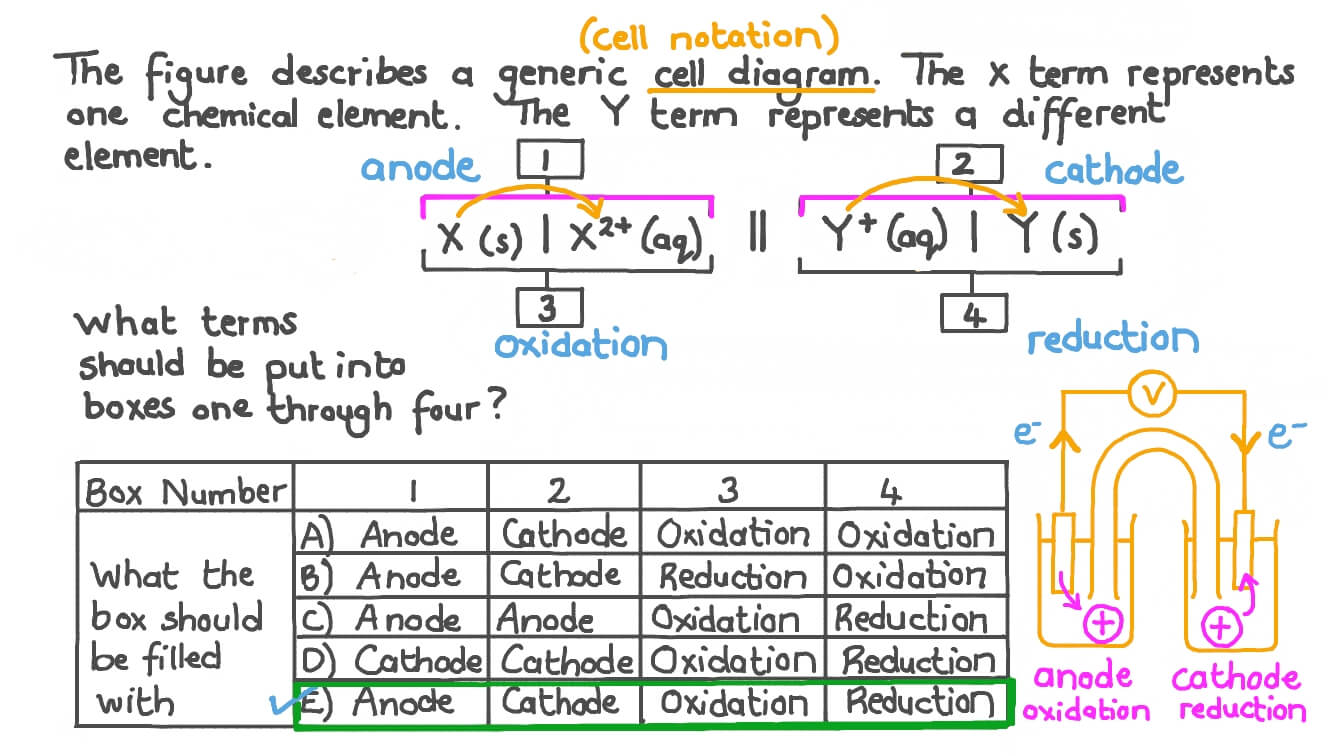 Assigning the Correct Labels to a Generic Cell Notation