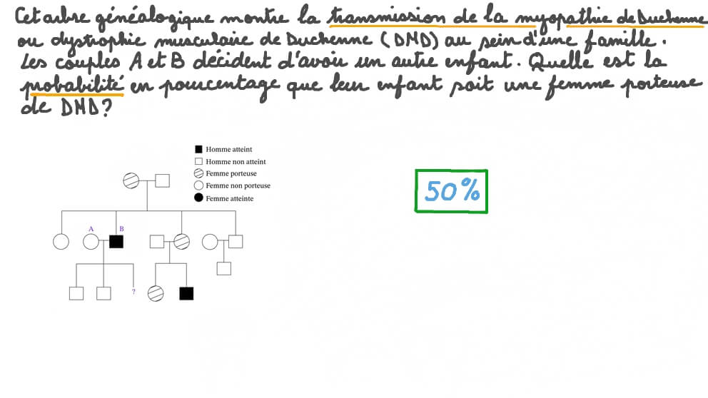 Prédire le génotype d’un descendant dans un arbre généalogique