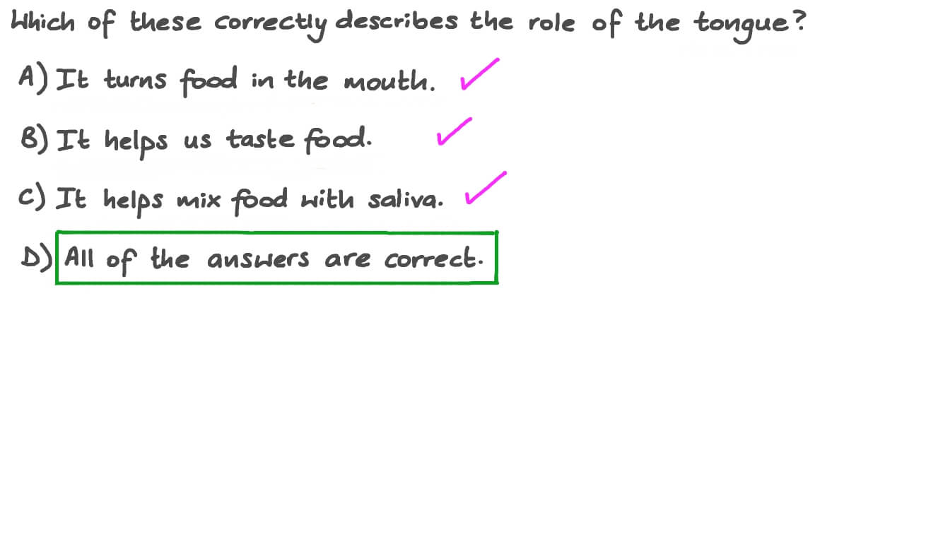 Understanding the Role of the Tongue